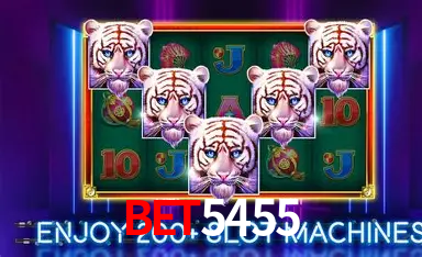 A Experiência Imersiva dos Cassinos Ao Vivo no BET5455